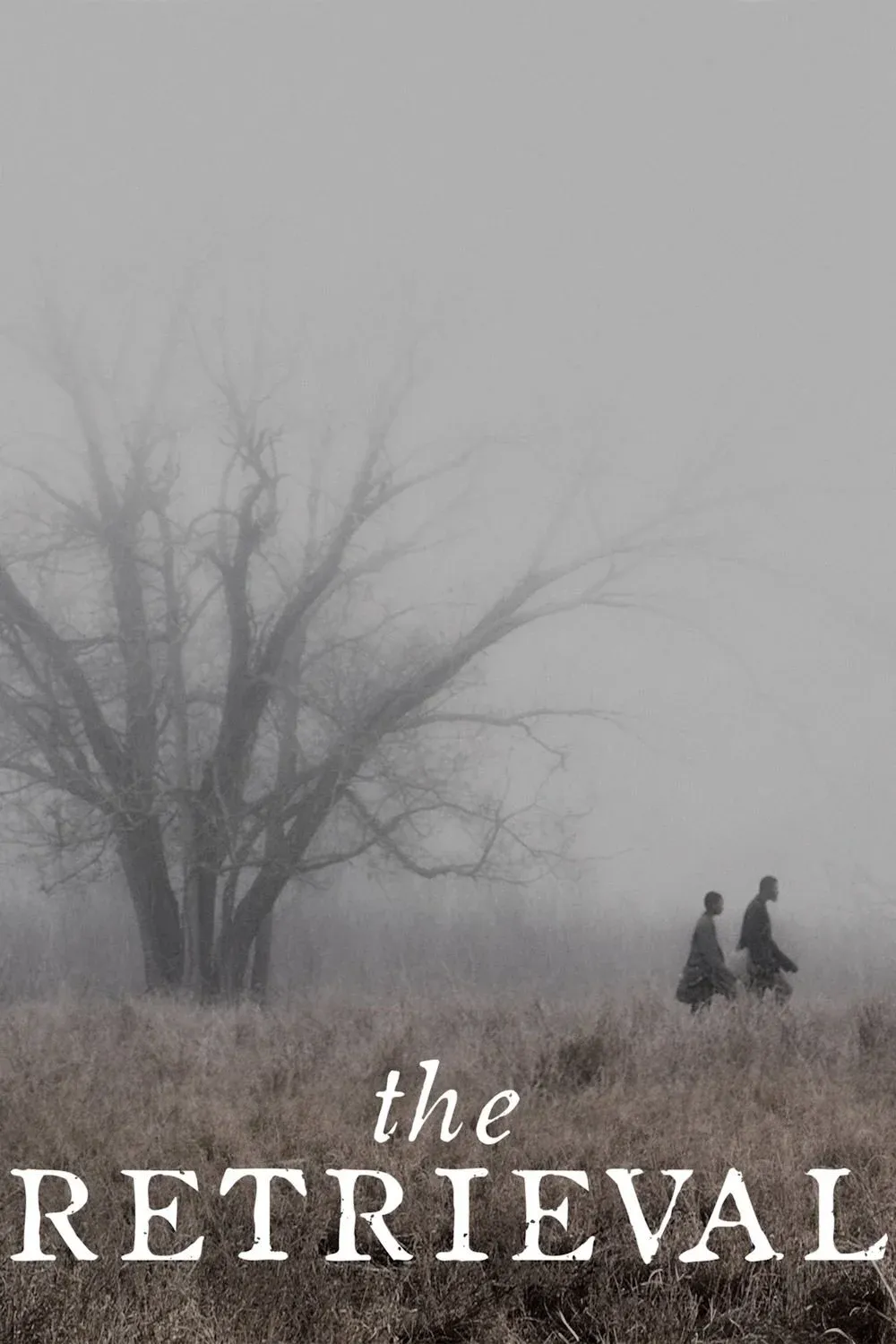 Постер фильма Поиск