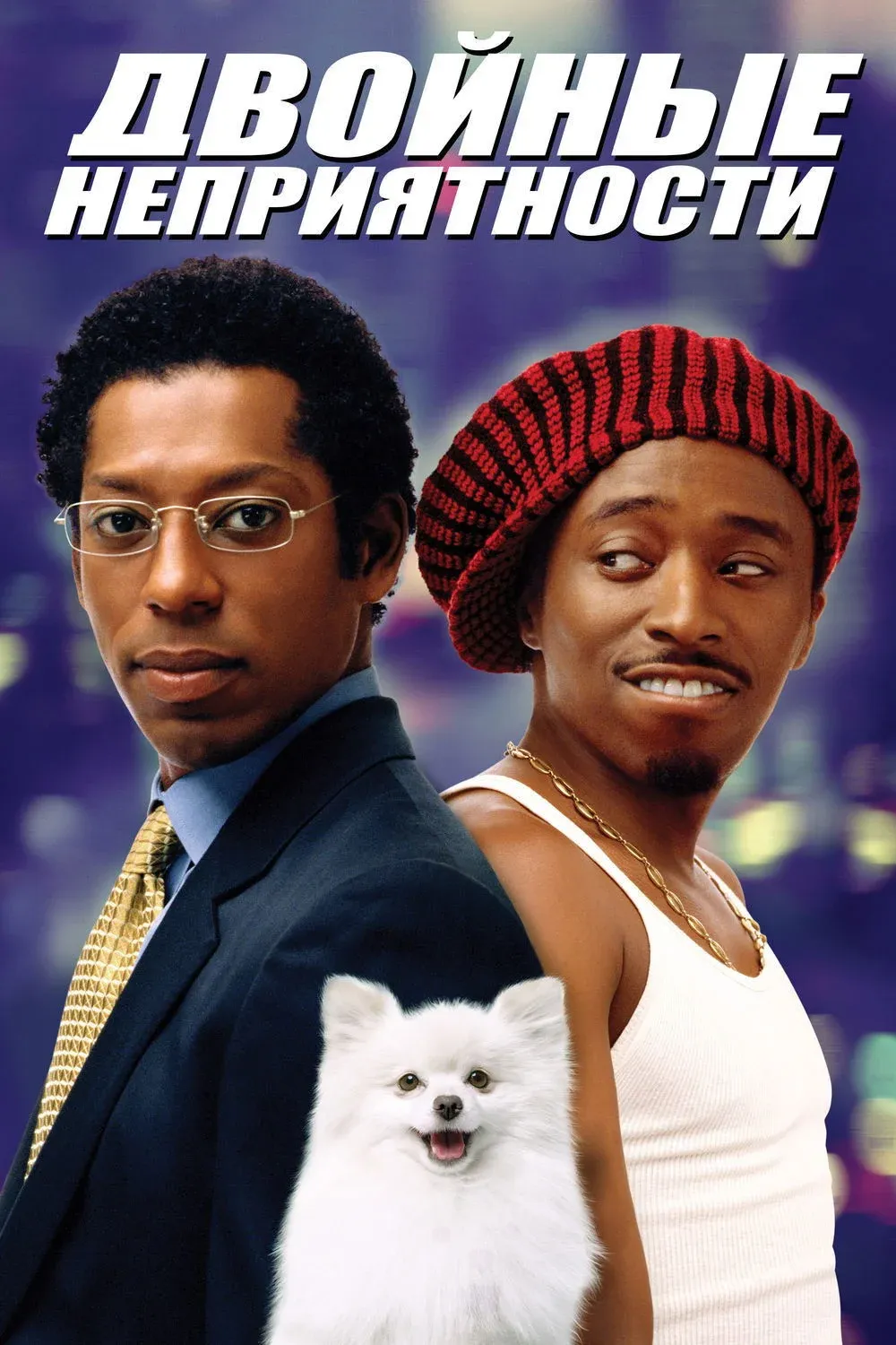 Постер фильма Двойные неприятности