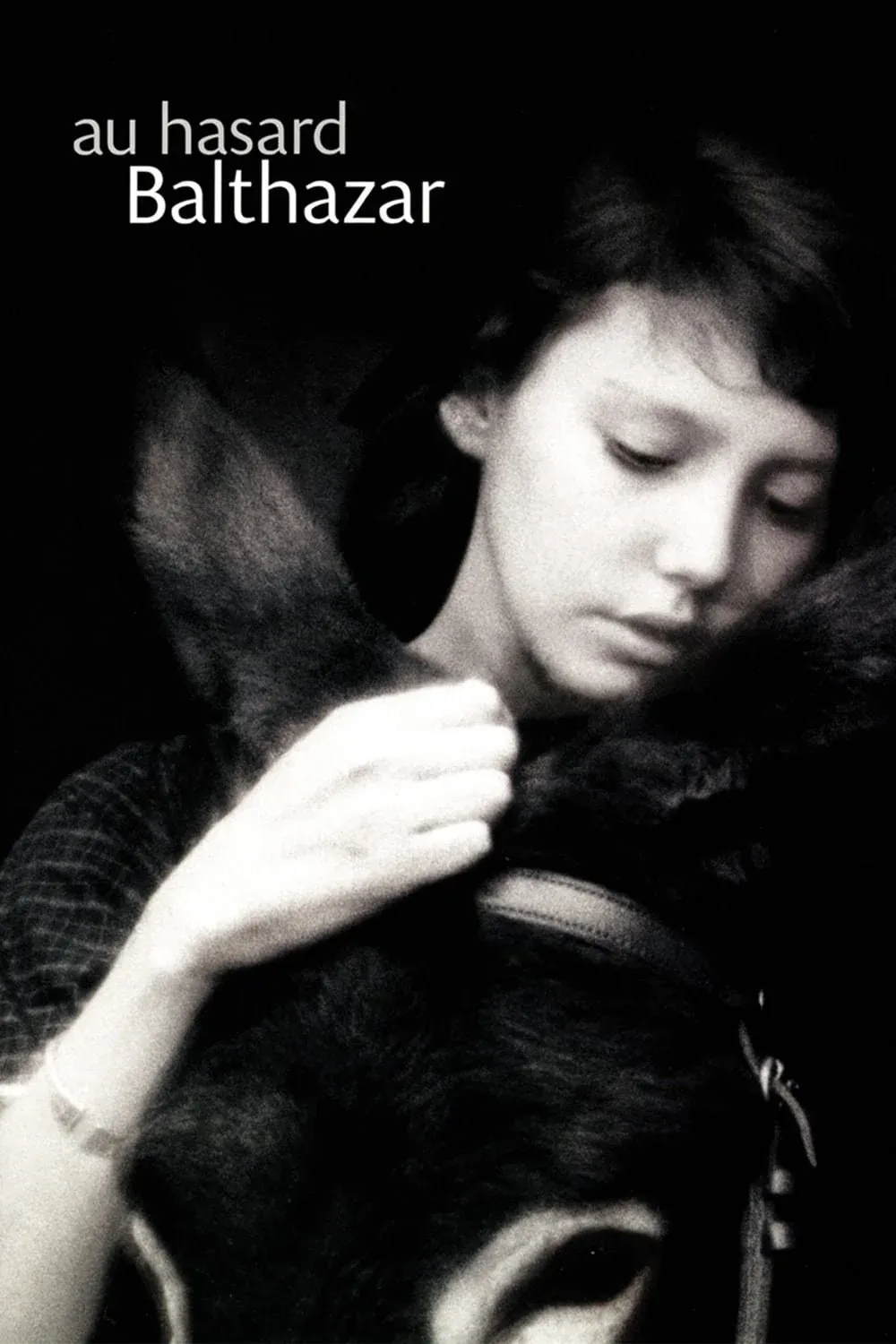 Постер фильма Наудачу, Бальтазар