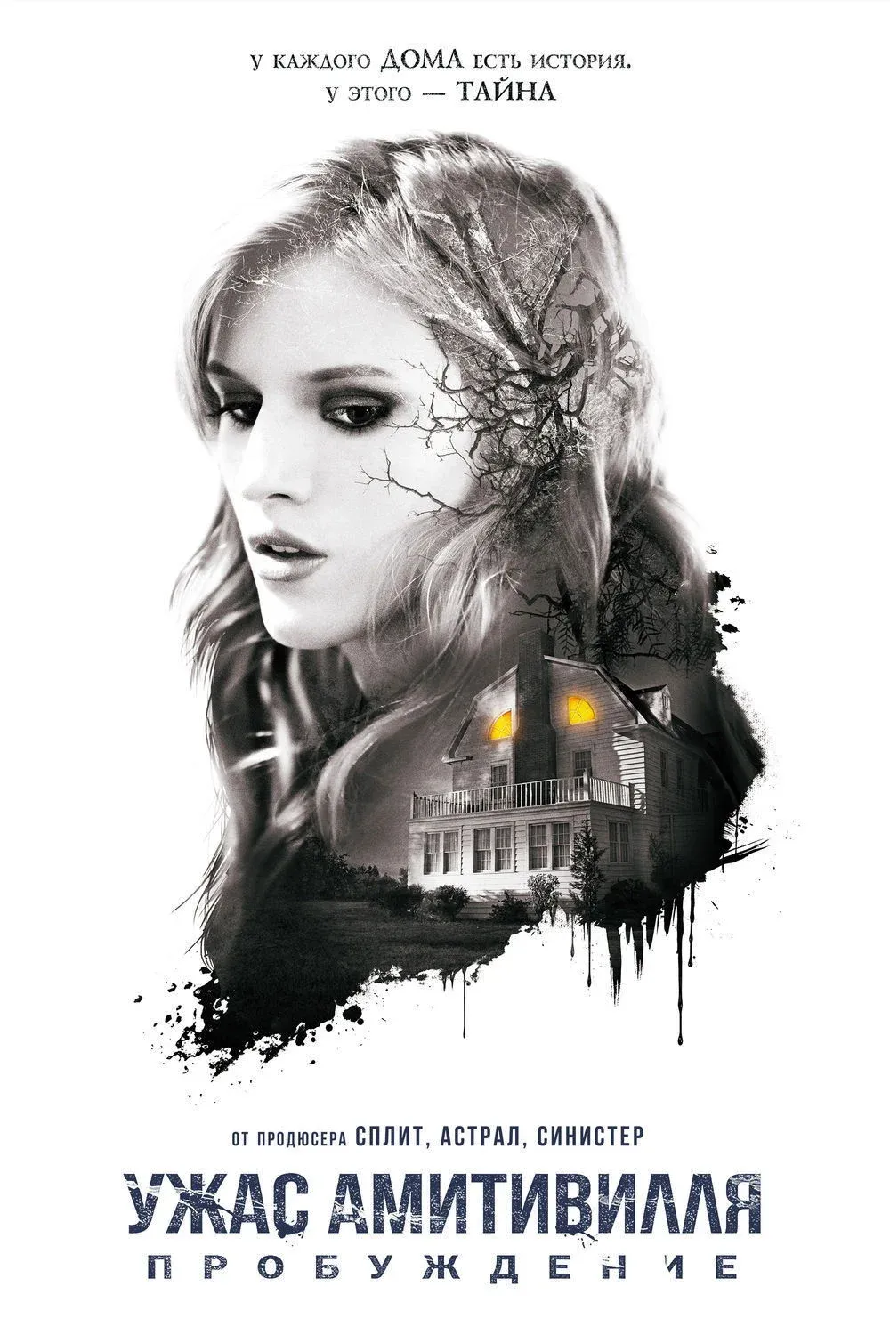 Постер фильма Ужас Амитивилля: Пробуждение