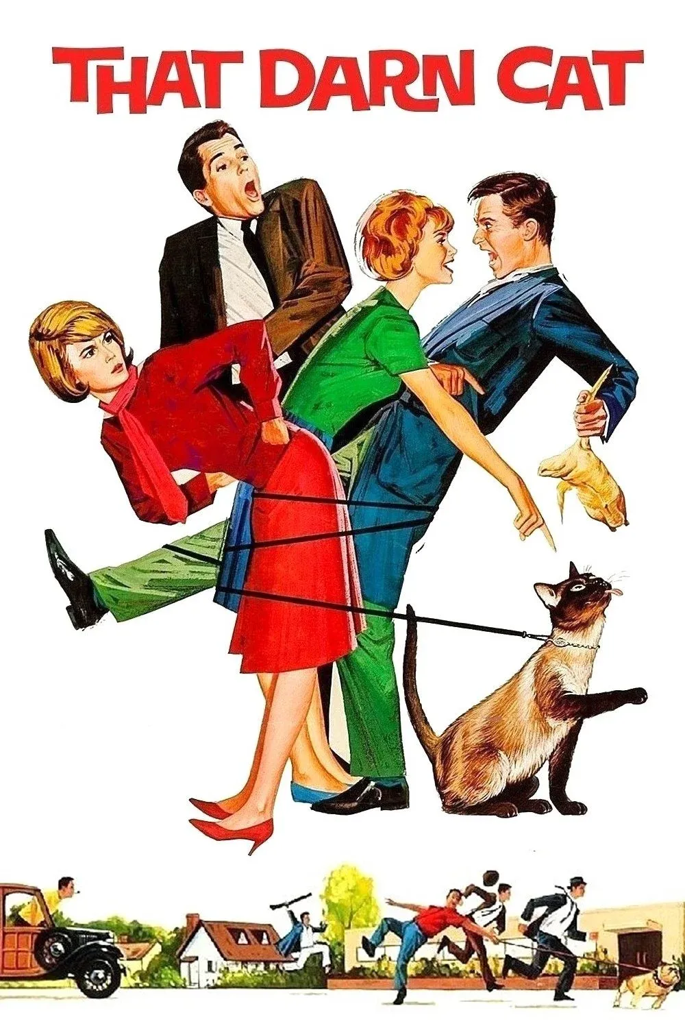 Постер фильма Эта дикая кошка