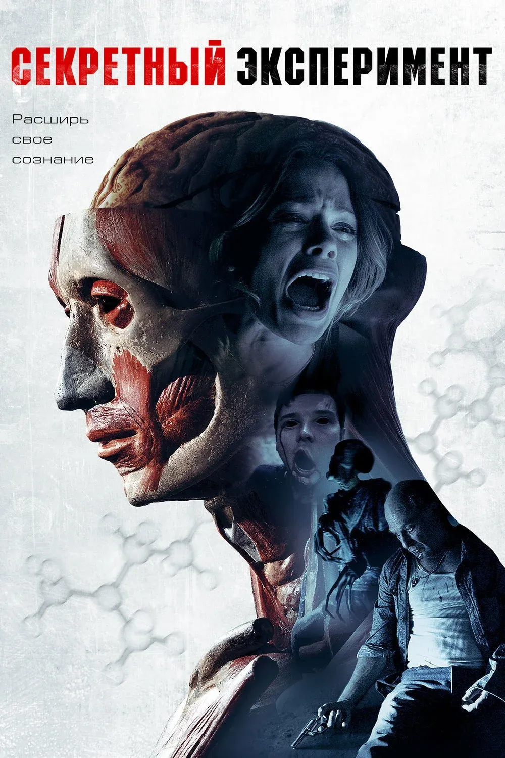 Постер фильма Секретный эксперимент