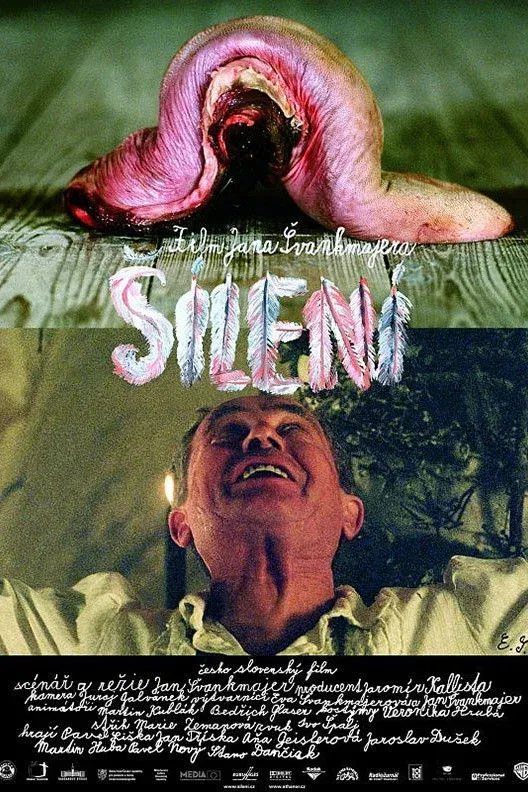 Постер фильма Безумие