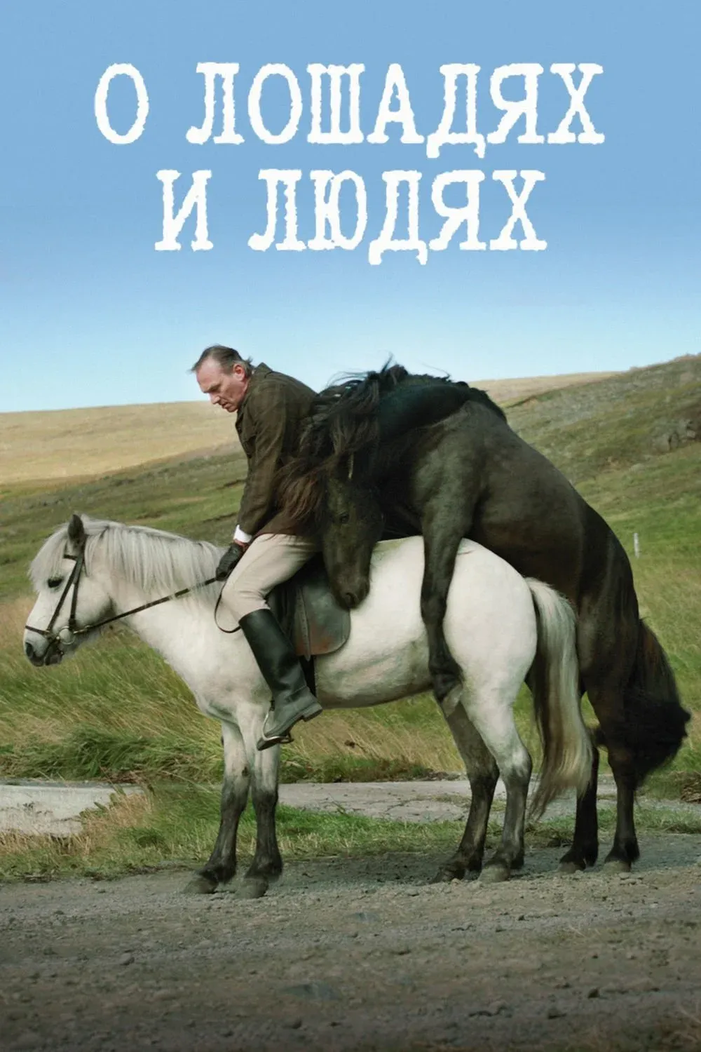 Постер фильма О лошадях и людях