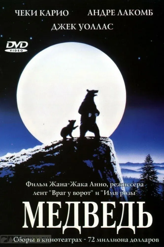 Постер фильма Медведь