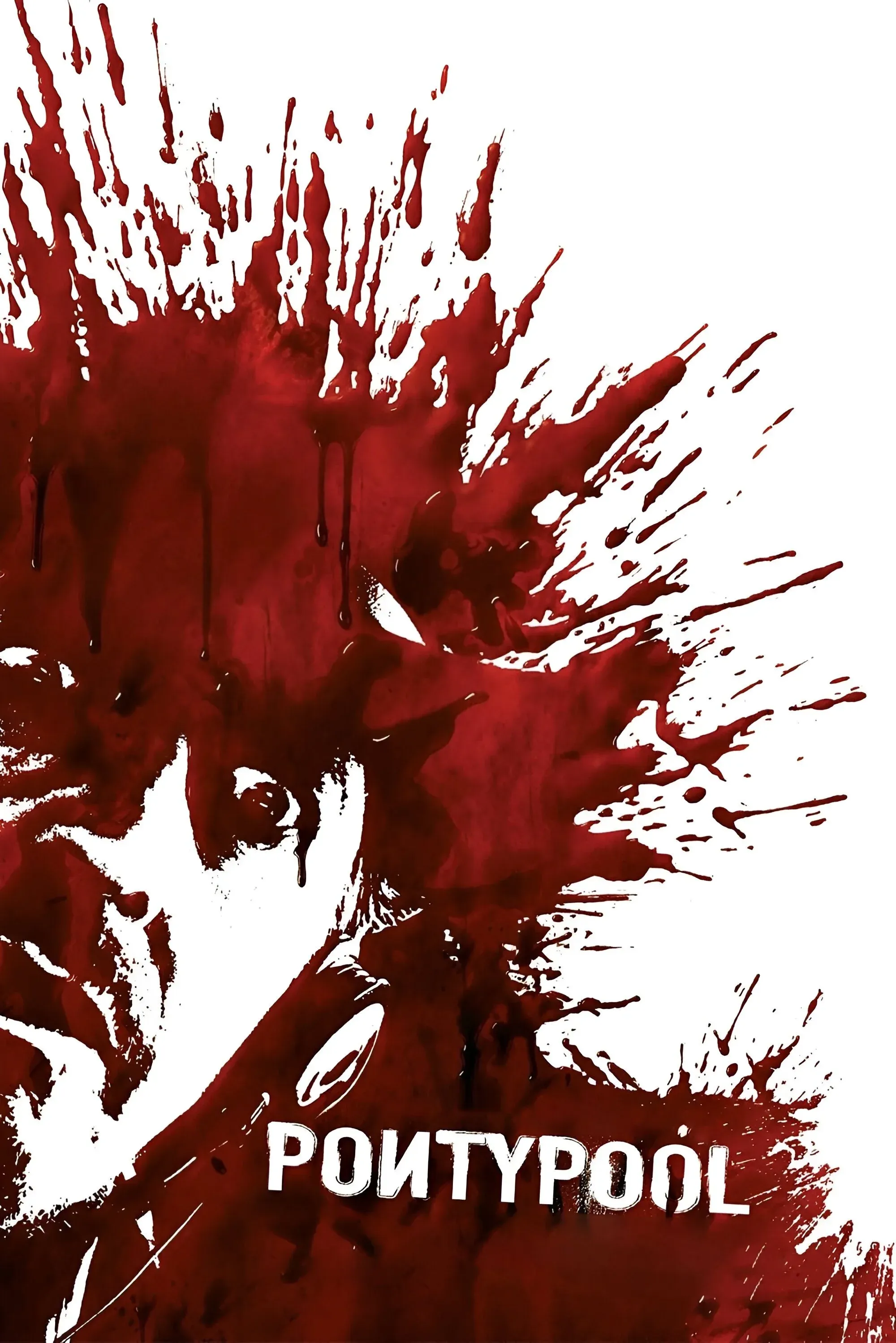 Постер фильма Понтипул