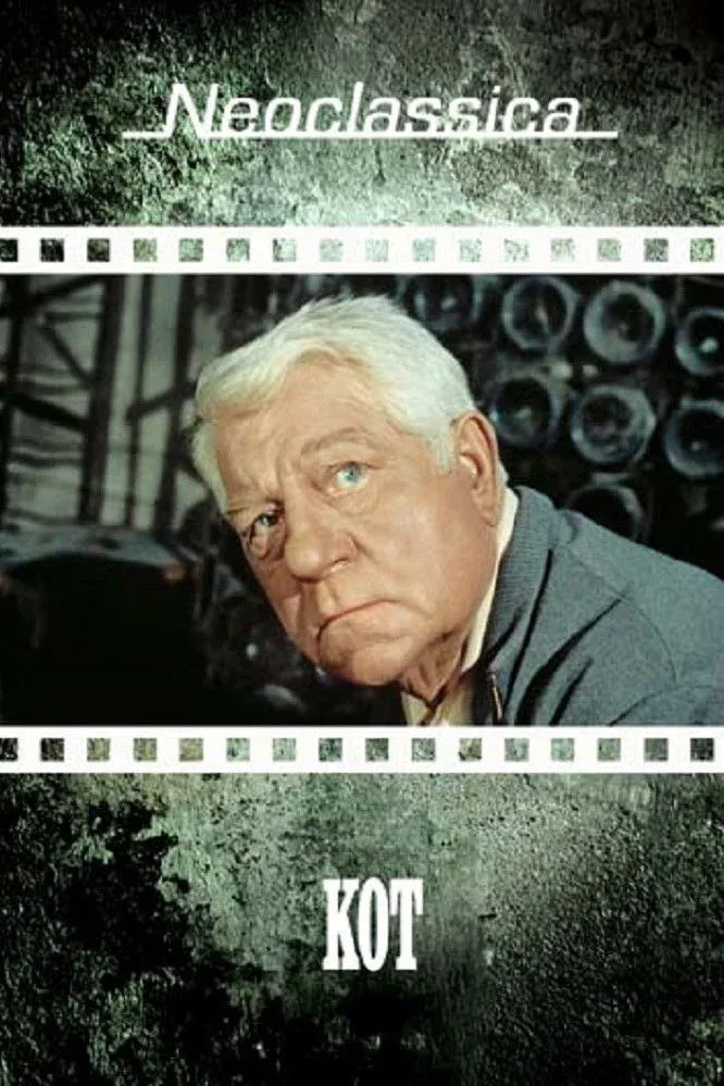 Постер фильма Кот