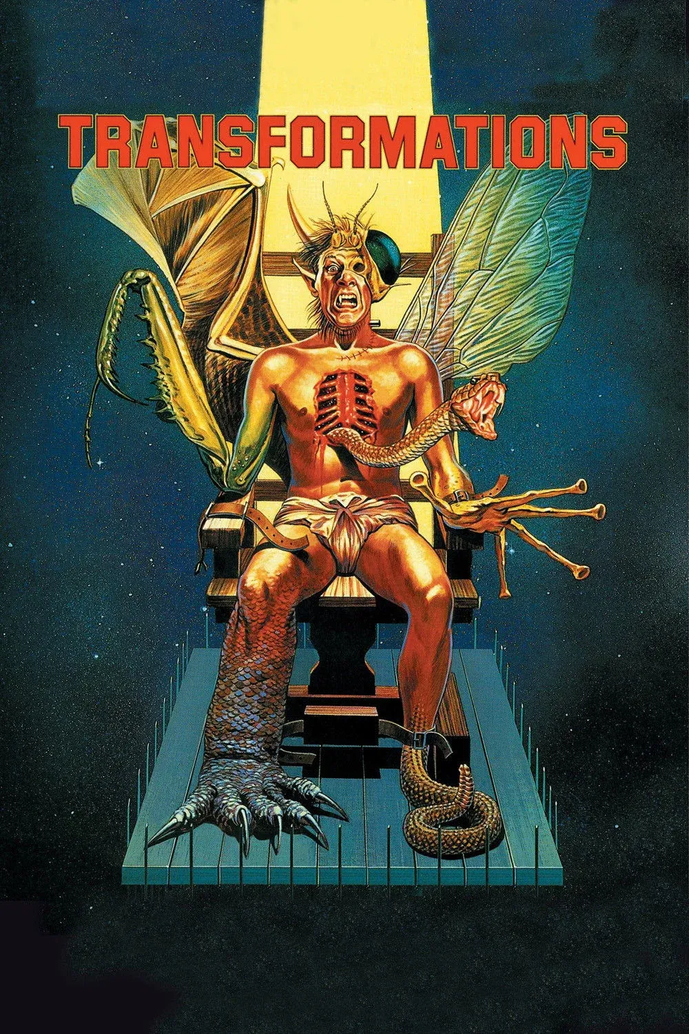 Постер фильма Превращения