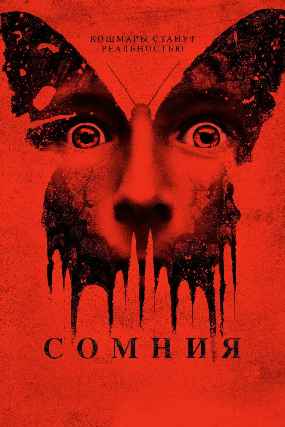 Постер фильма Сомния