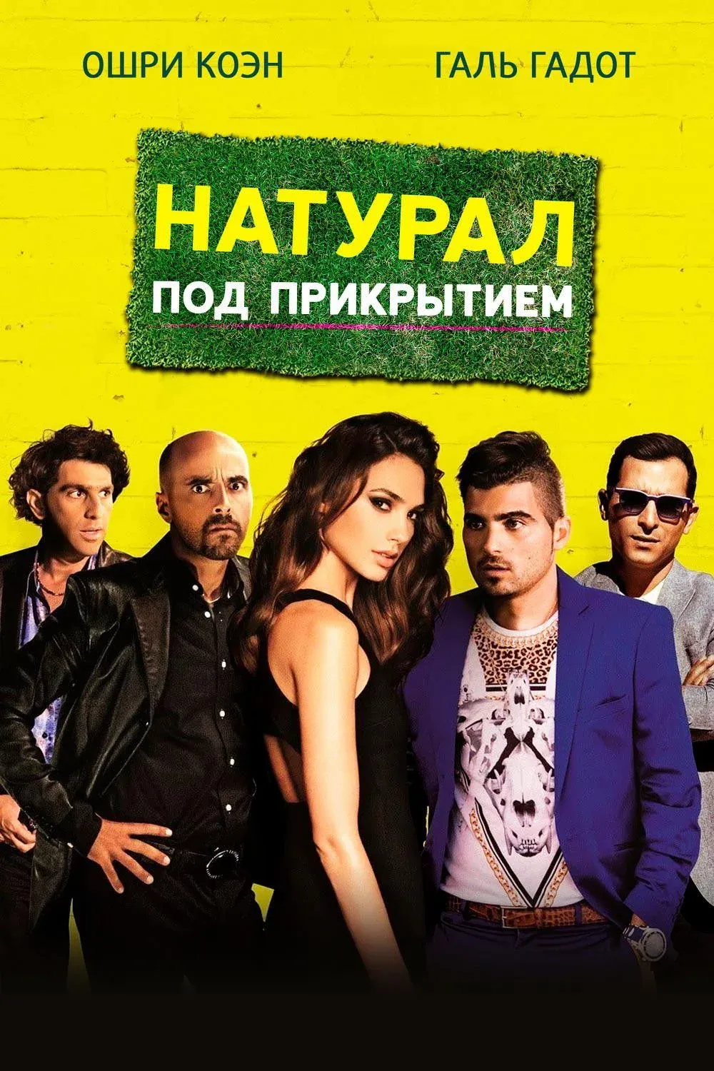 Постер фильма Натурал под прикрытием