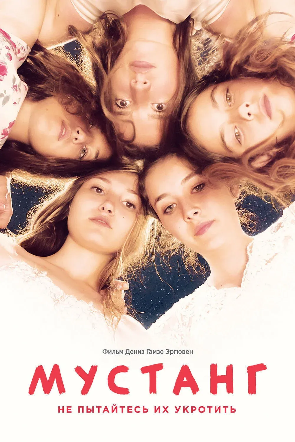 Постер фильма Мустанг