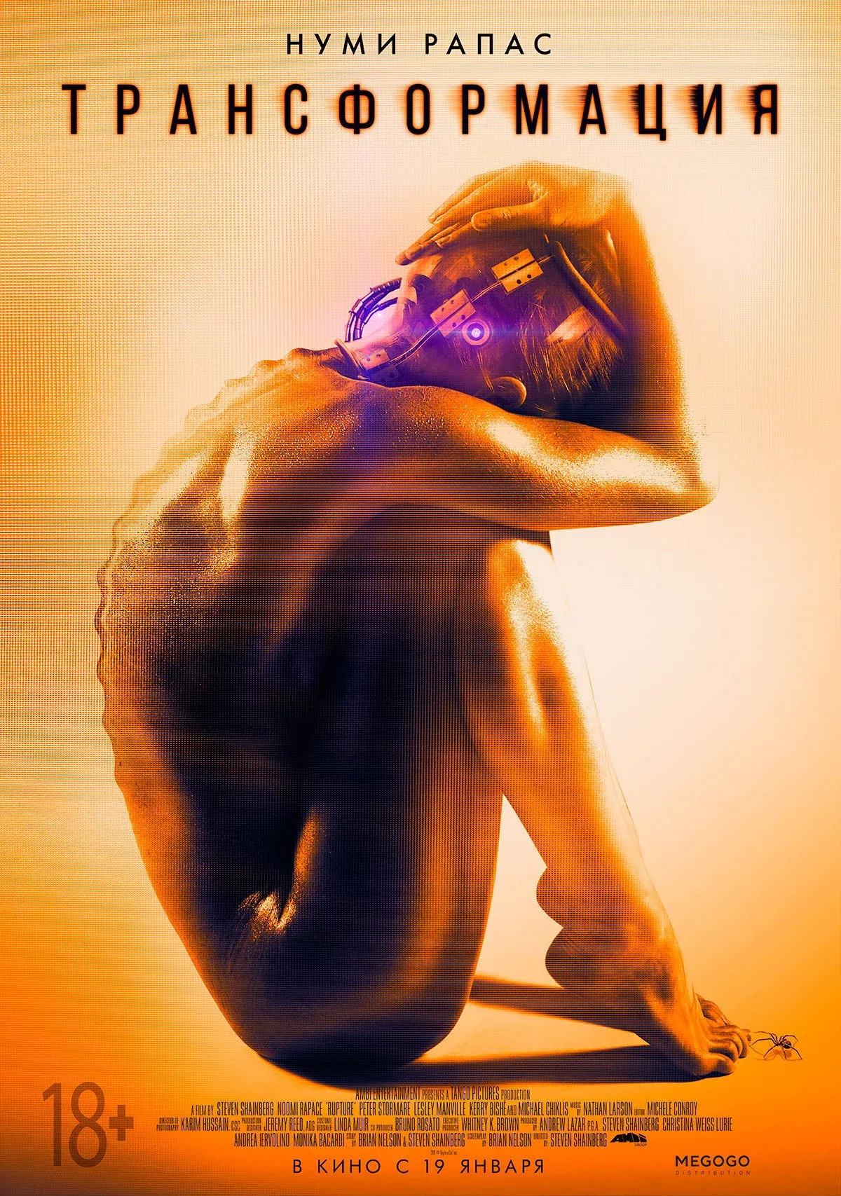 Постер фильма Трансформация