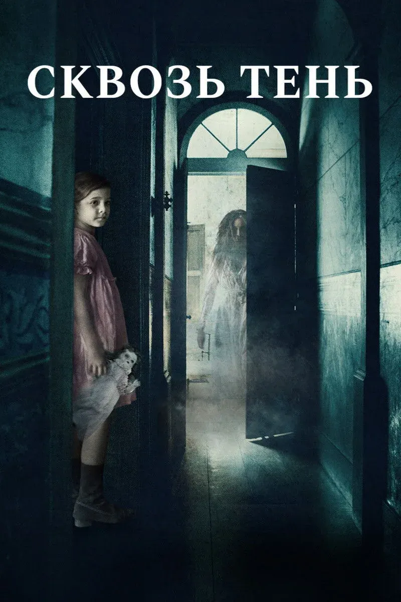 Постер фильма Сквозь тень