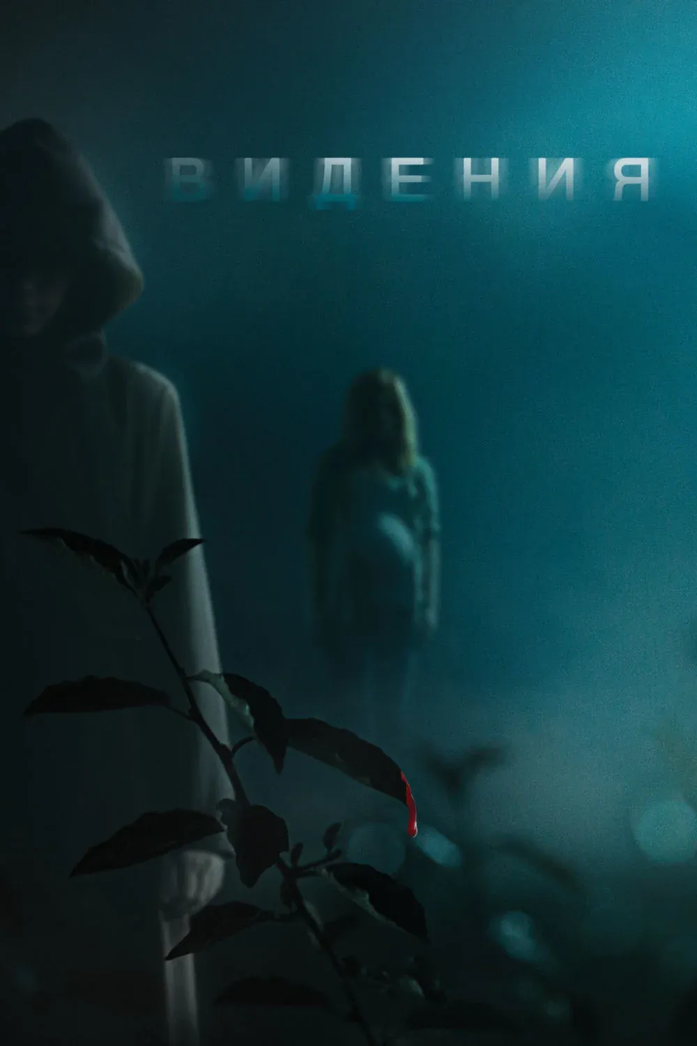 Постер фильма Видения