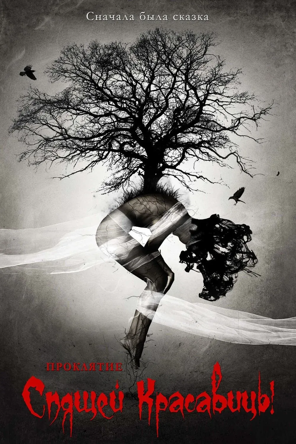 Постер фильма Проклятие Спящей красавицы