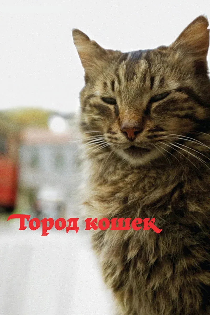 Постер фильма Город кошек