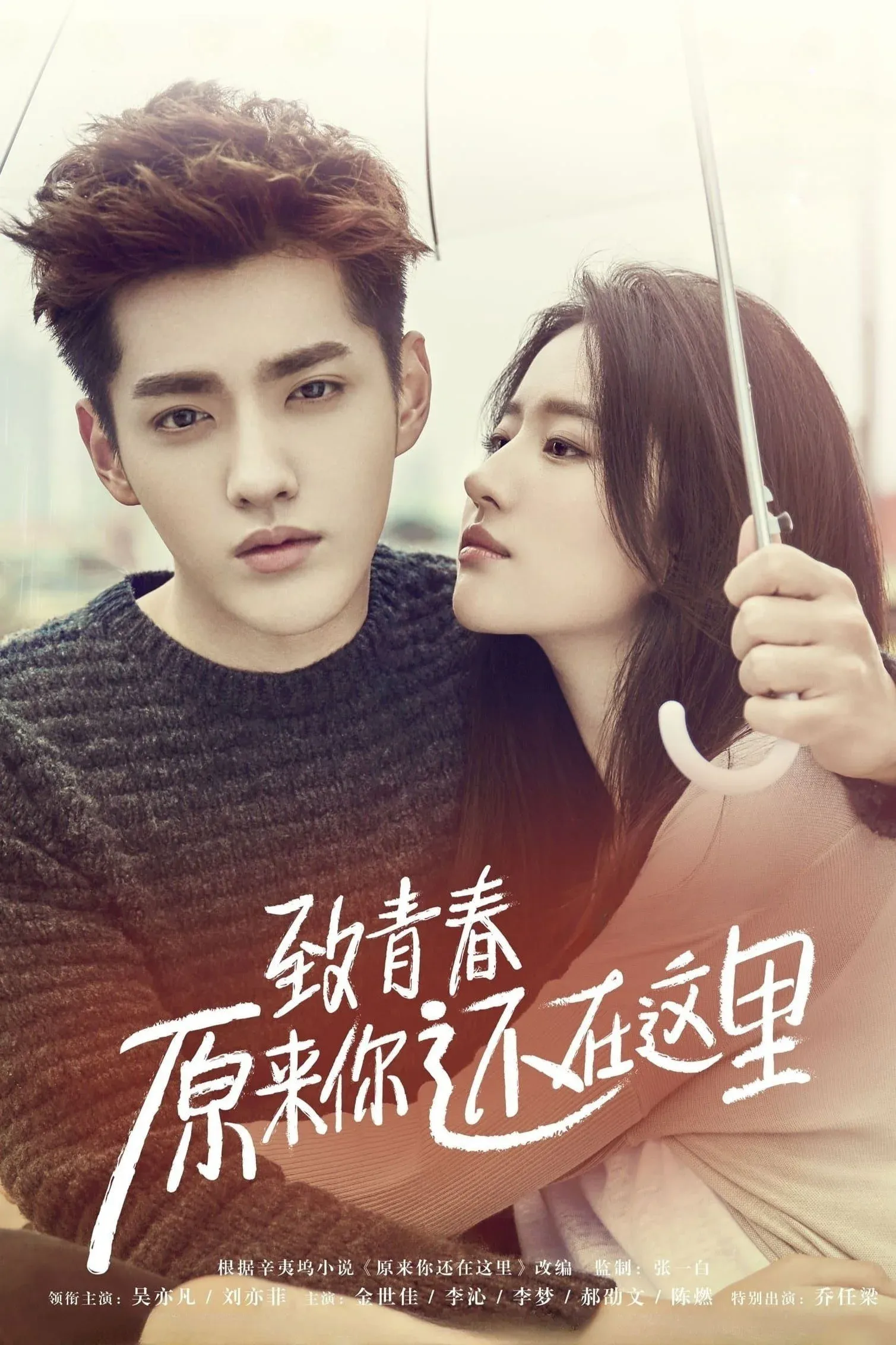 Постер фильма Ты ещё здесь