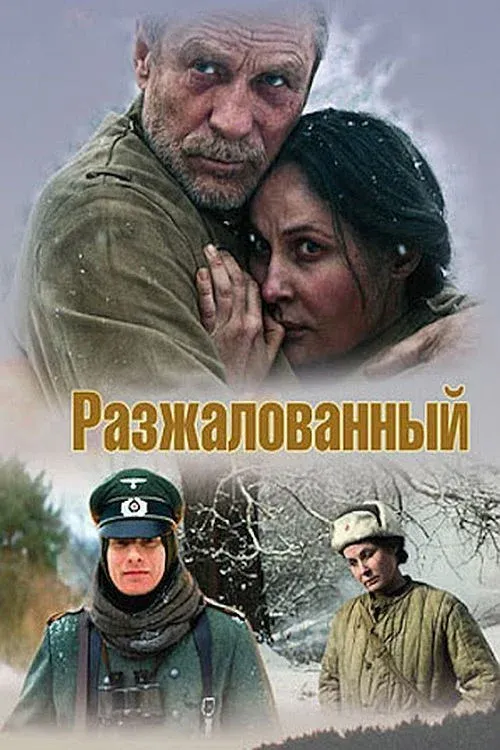 Постер фильма Разжалованный
