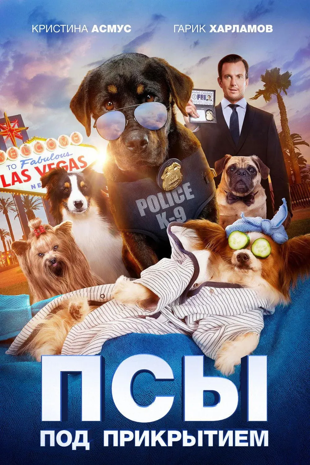 Постер фильма Псы под прикрытием