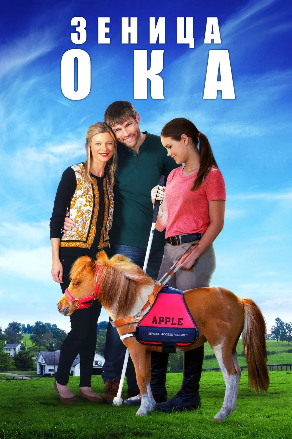 Постер фильма Зеница Ока