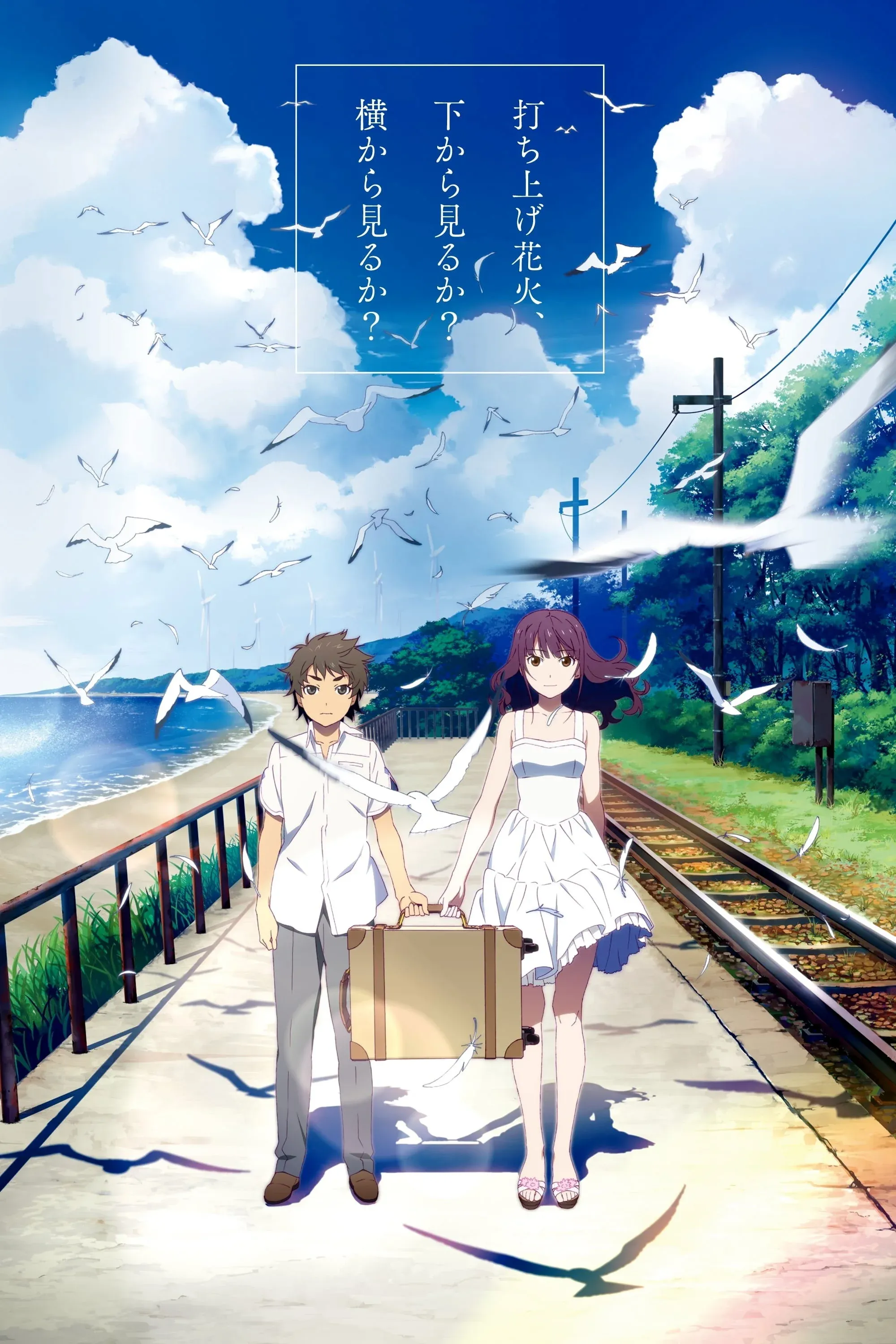 Постер фильма Как смотреть фейерверк