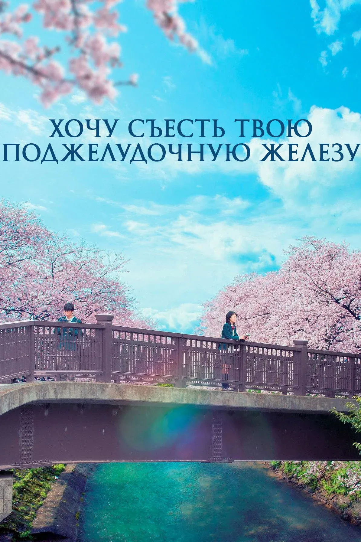 Постер фильма Хочу съесть твою поджелудочную железу