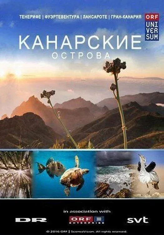 Постер фильма Канарские острова