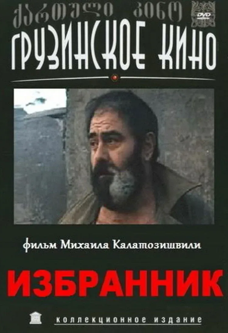 Постер фильма Избранник