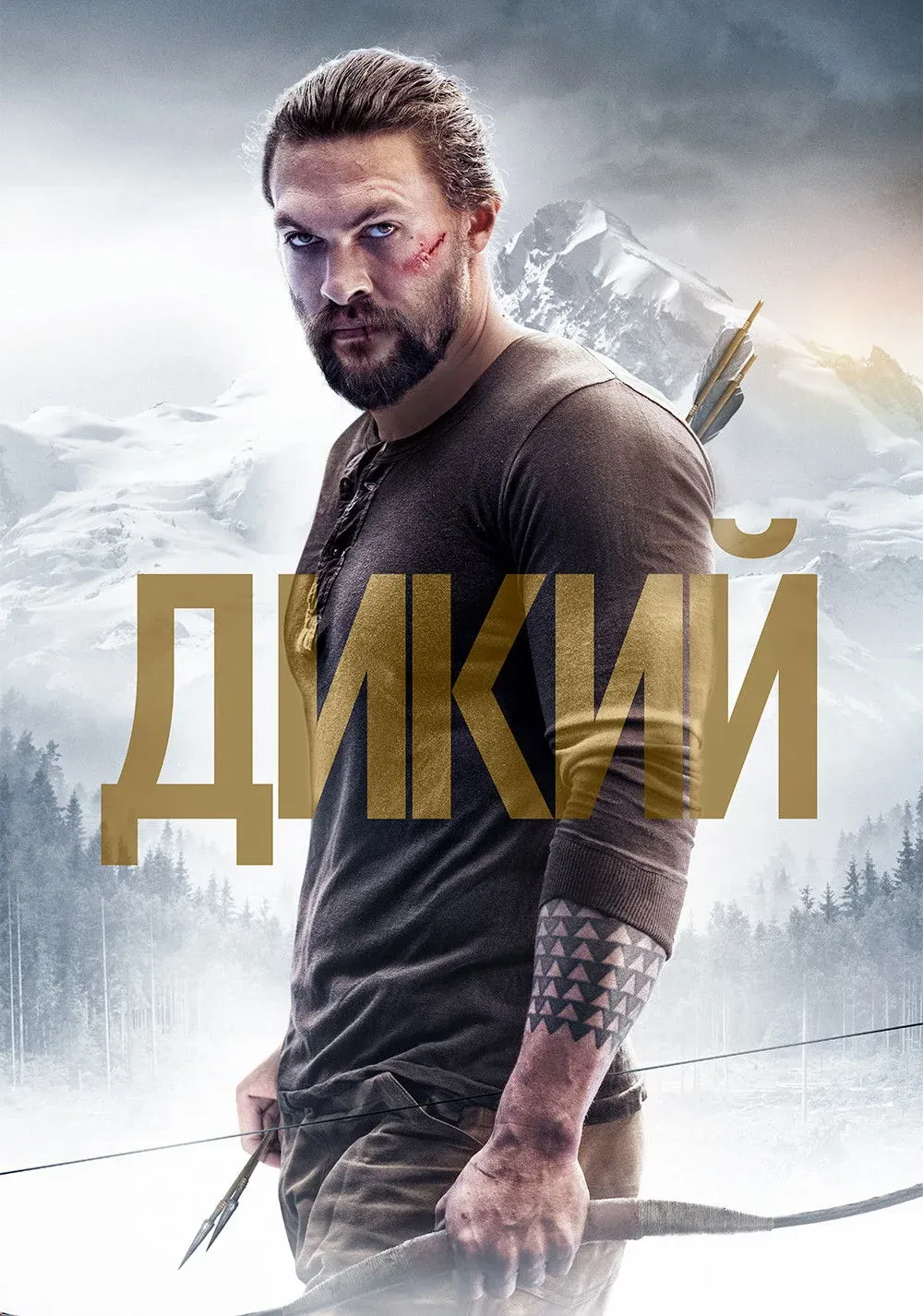 Постер фильма Дикий