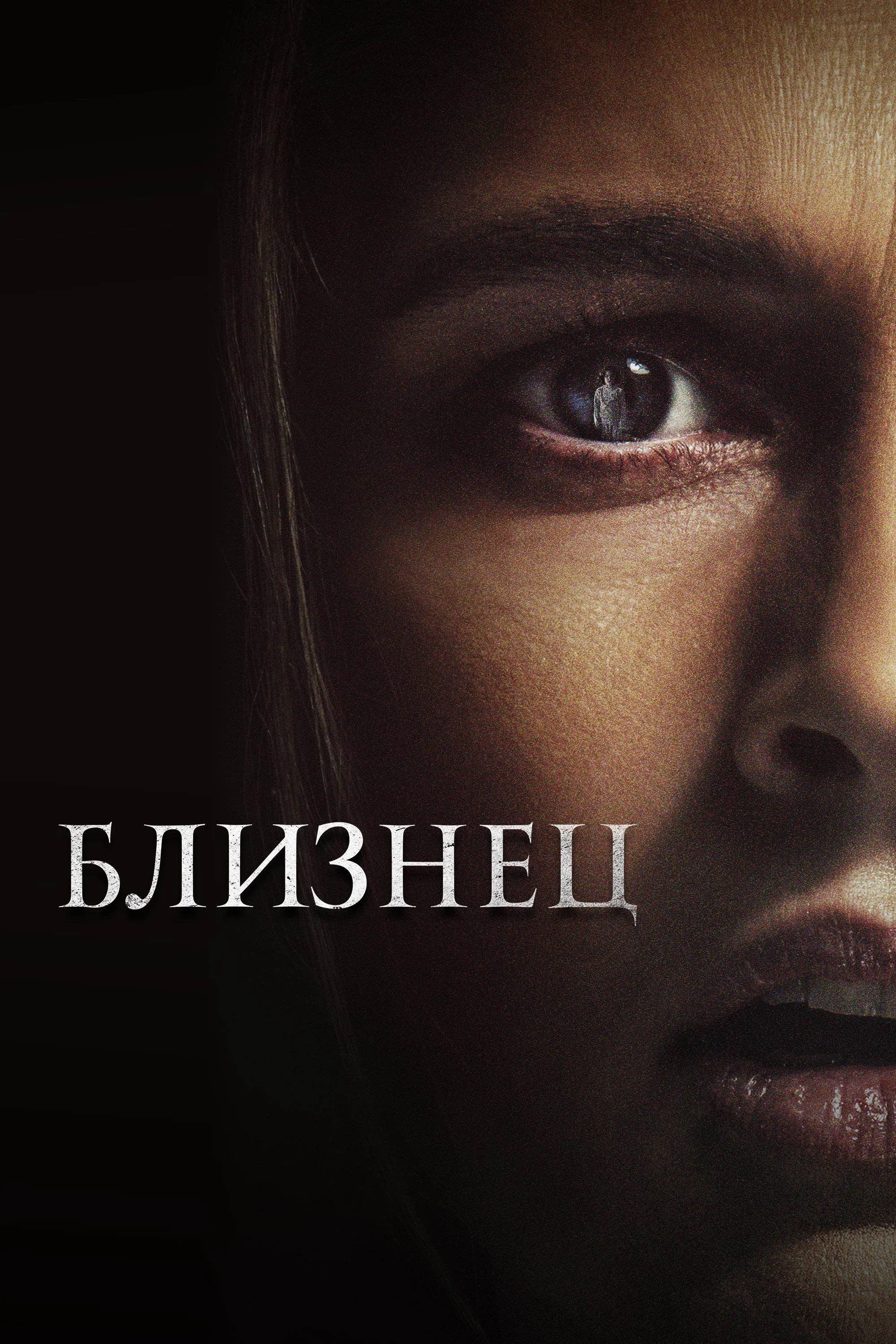 Постер фильма Близнец