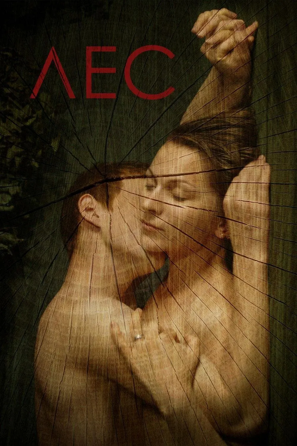 Постер фильма Лес