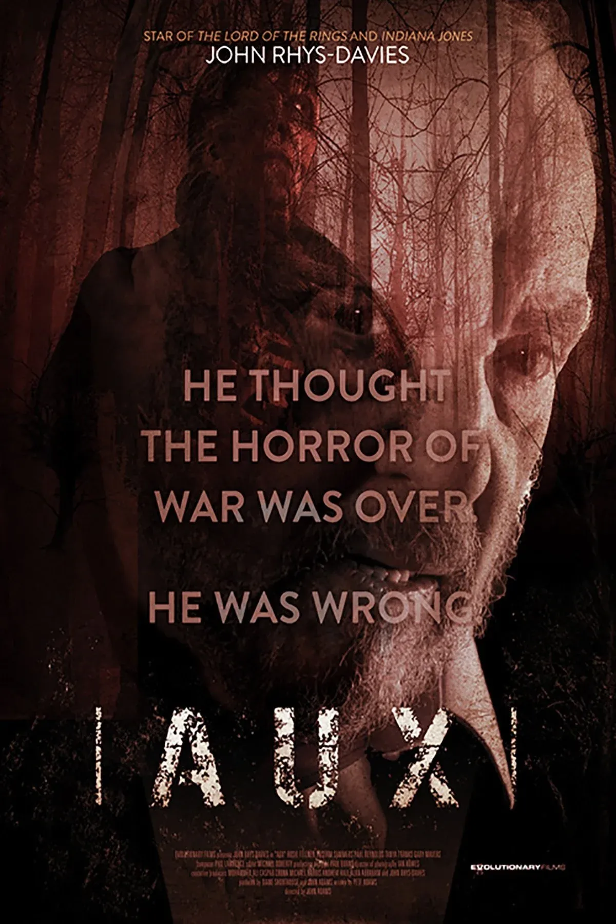 Постер фильма Отголоски войны