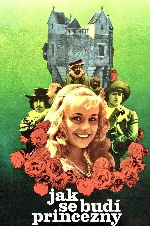 Постер фильма Как разбудить принцессу