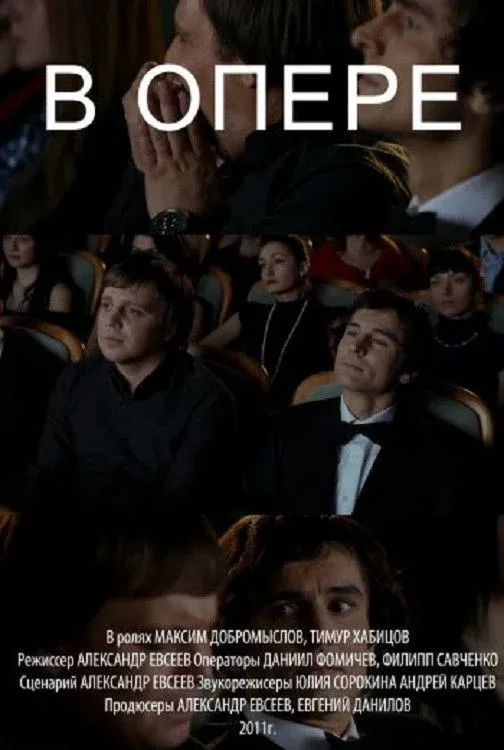 Постер фильма В опере