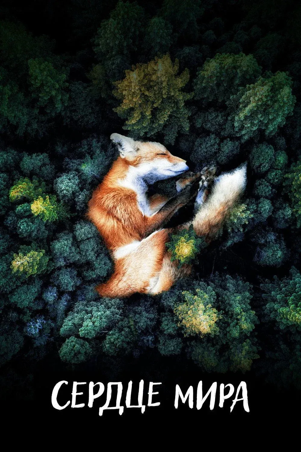 Постер фильма Сердце мира