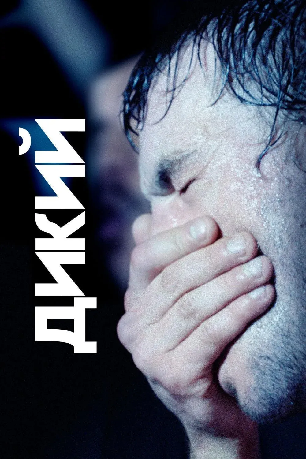 Постер фильма Дикий