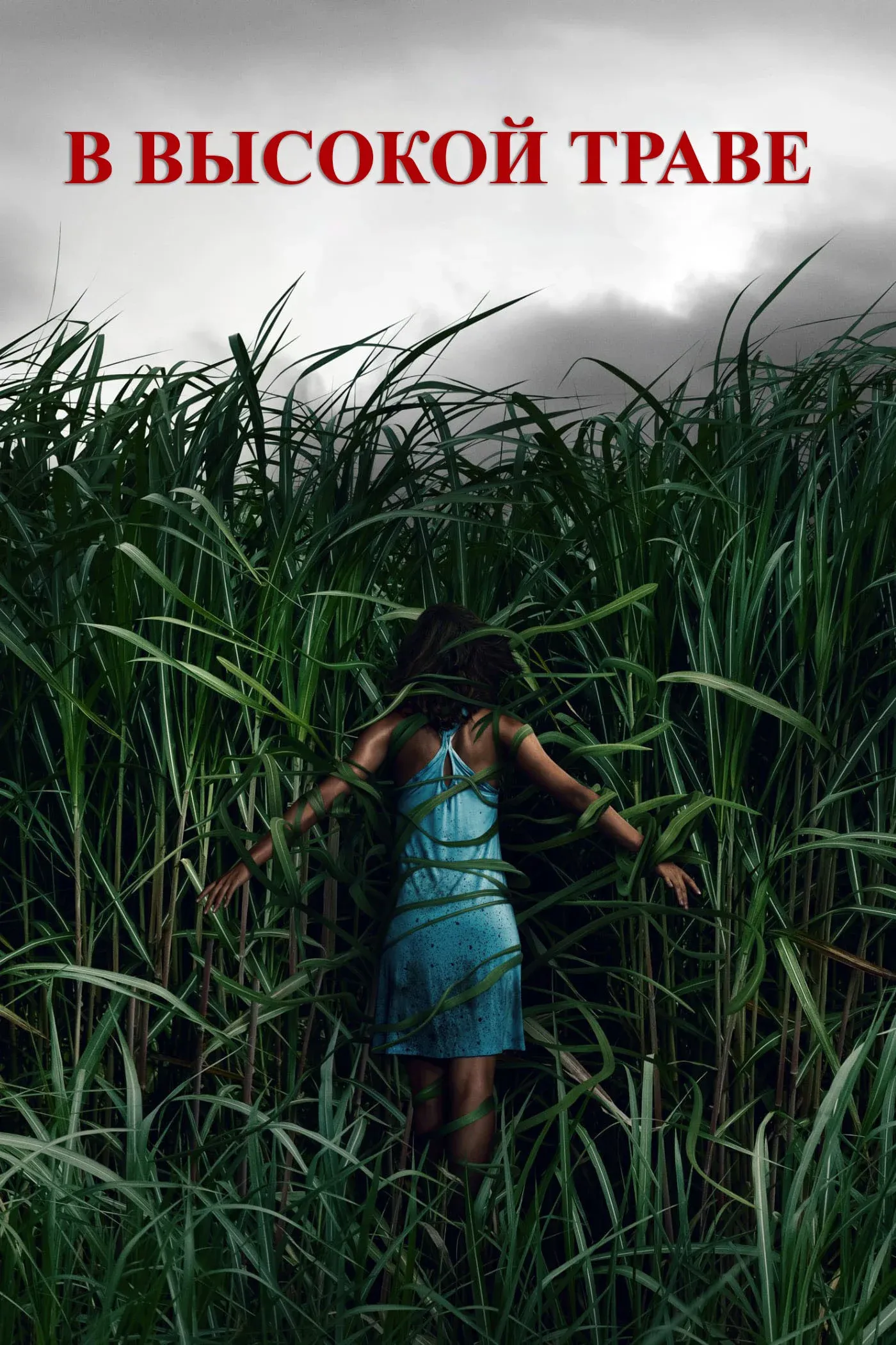Постер фильма В высокой траве