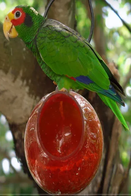 Постер фильма Захватывающие дух цвета природы