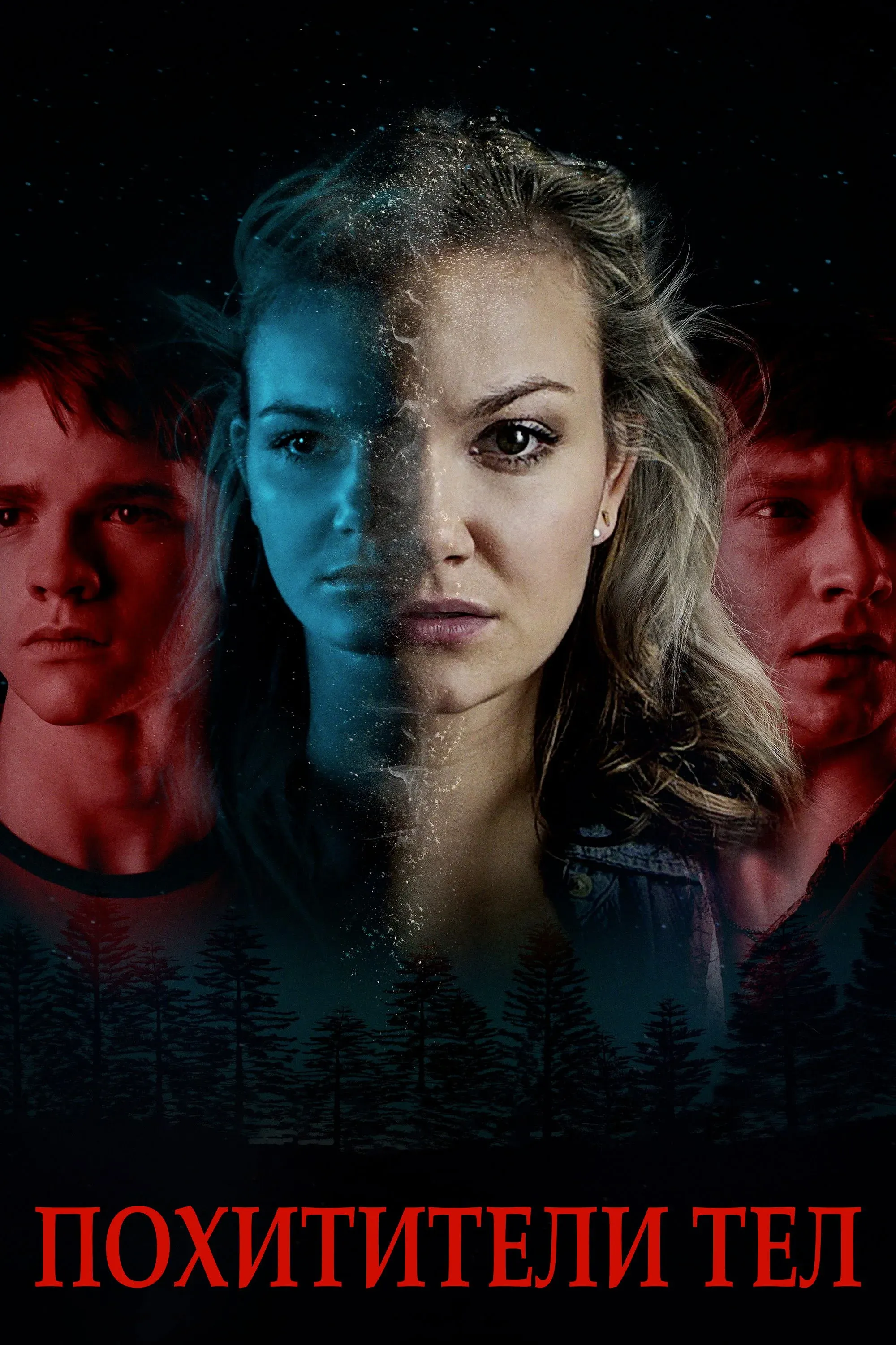 Постер фильма Похитители тел