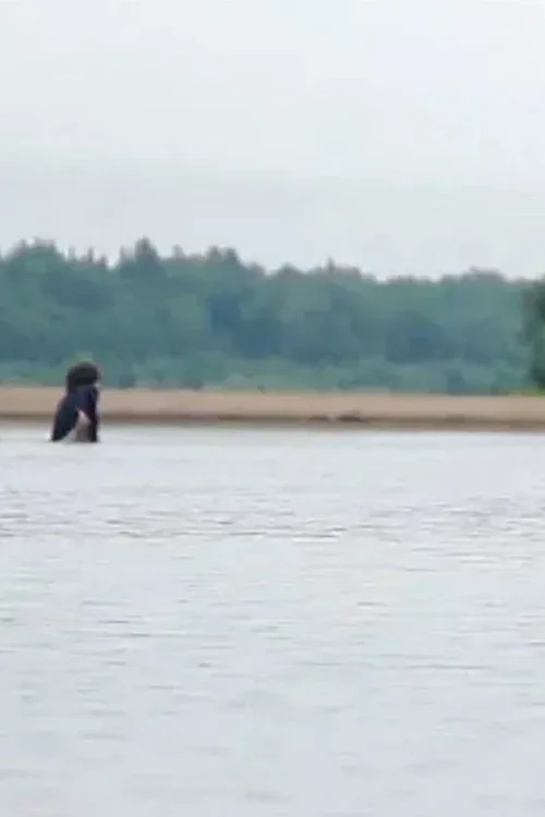 Постер фильма Фильм для одного человека