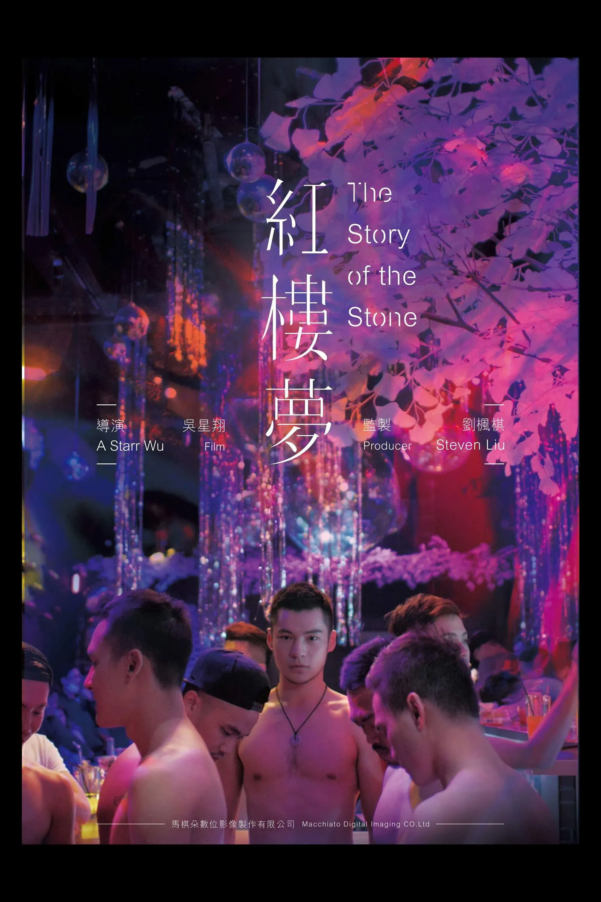 Постер фильма История о камне