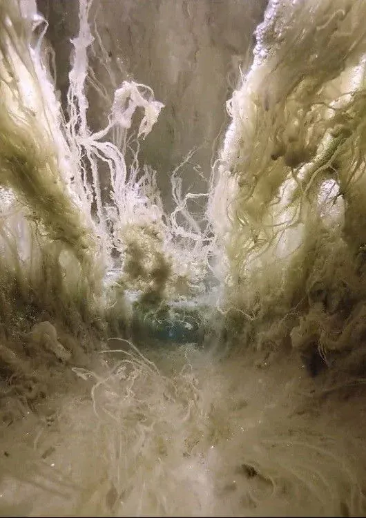 Постер фильма Поток VIII