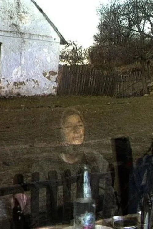 Постер фильма Линденфельд 1994