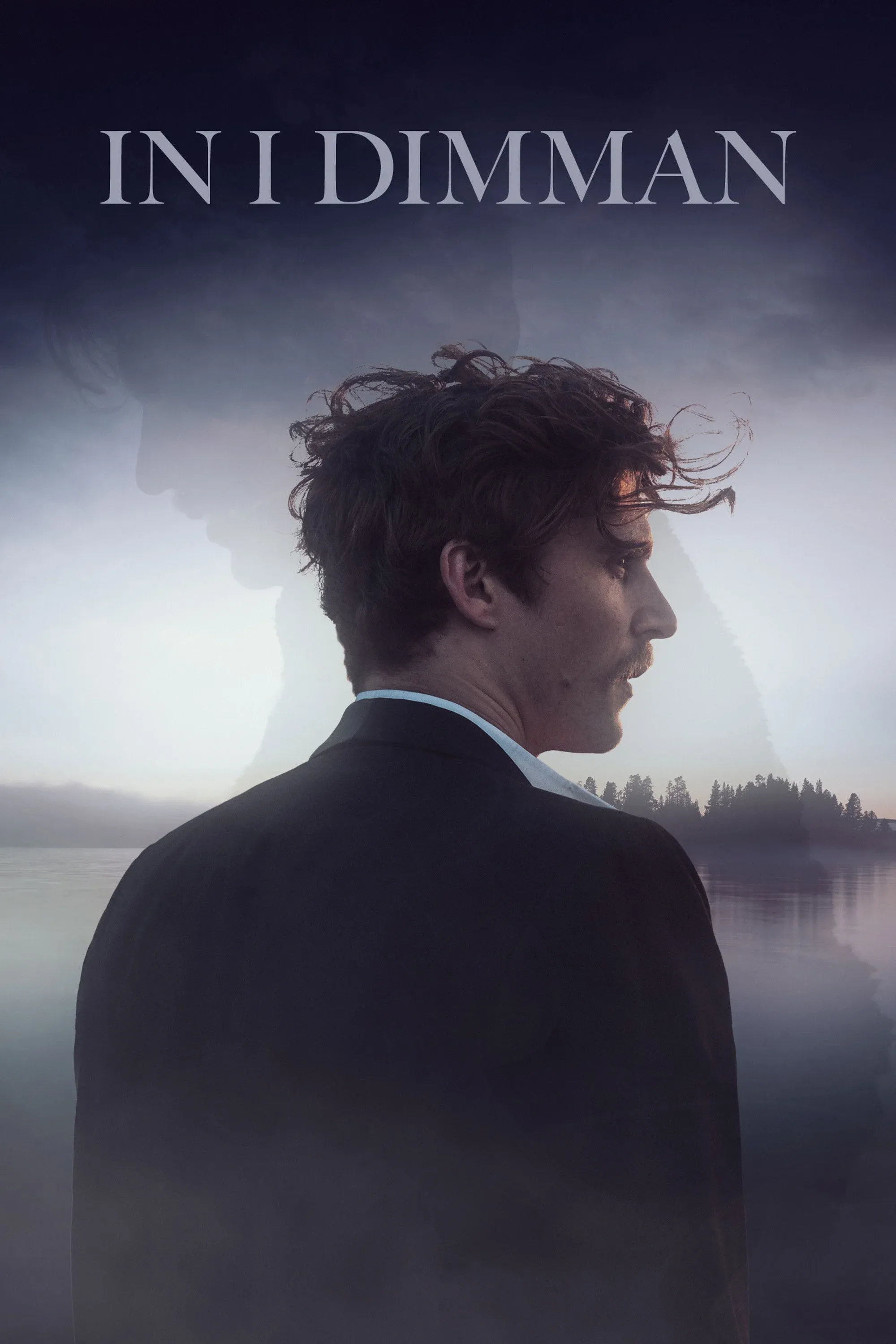 Постер фильма В тумане