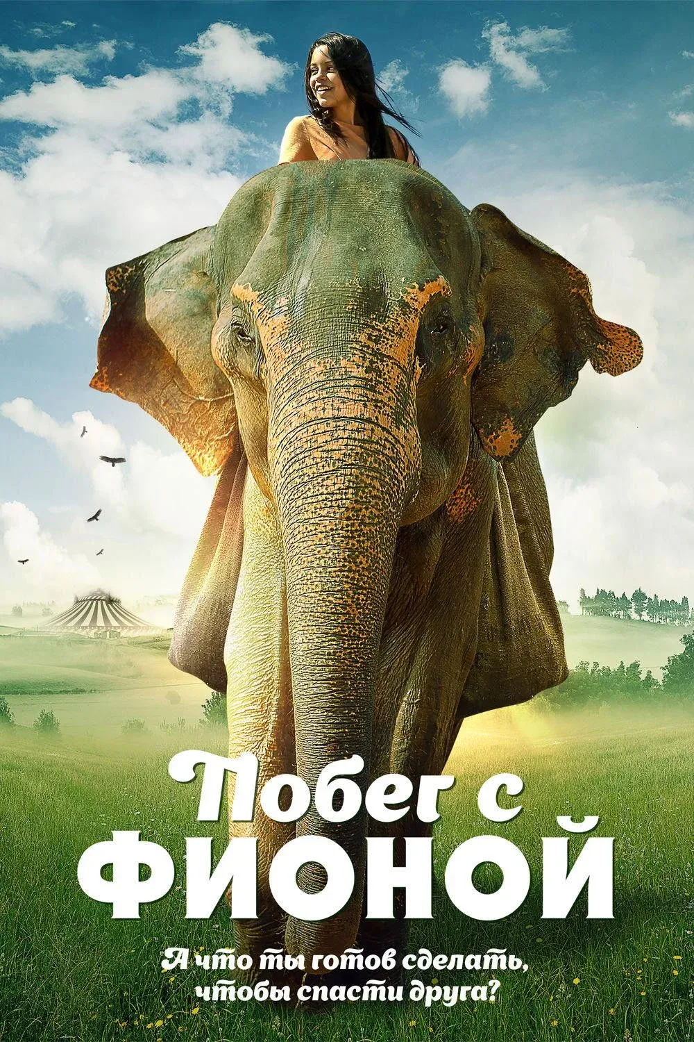 Постер фильма Побег с Фионой