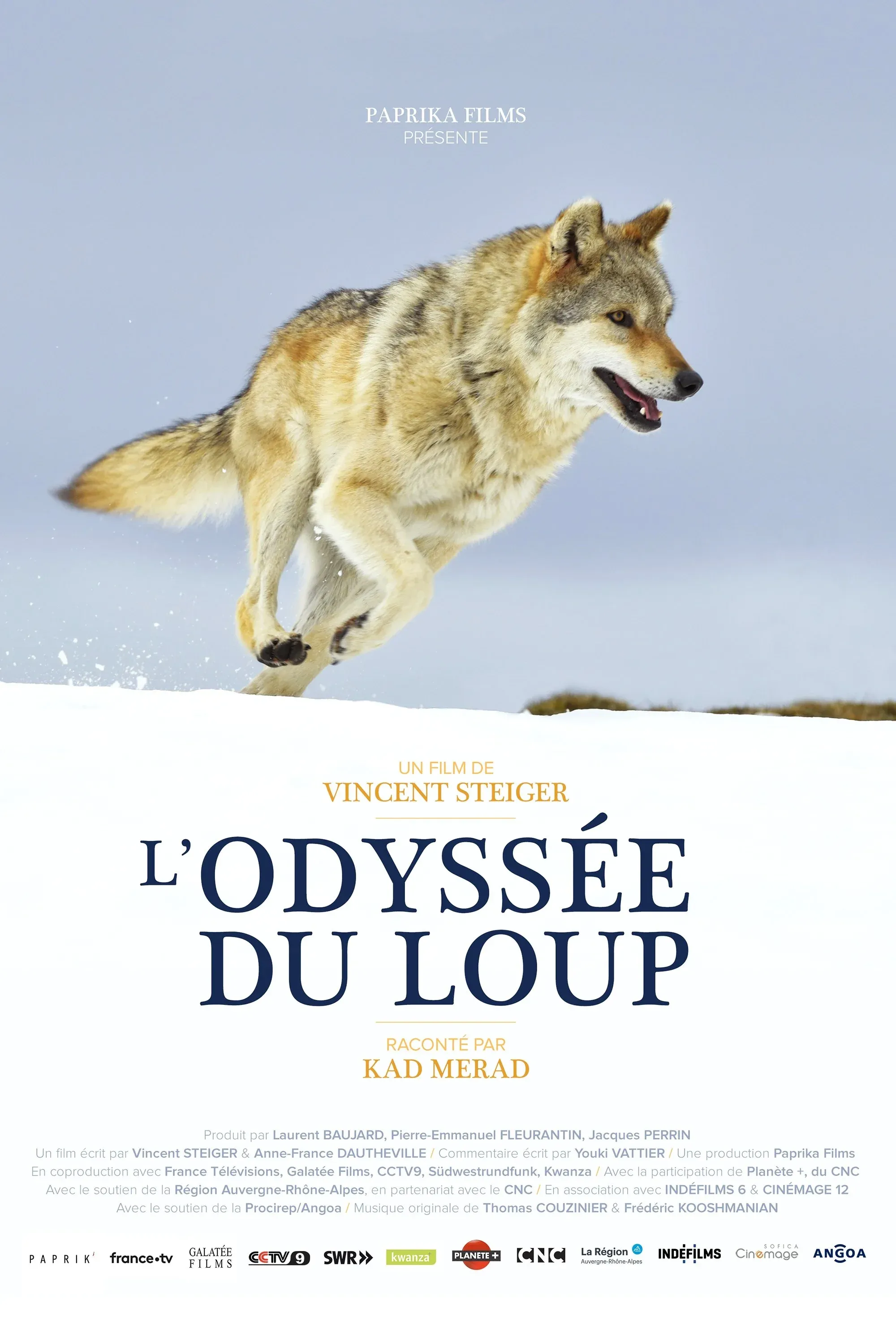 Постер фильма Путешествие волка