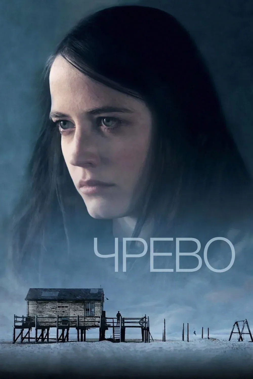 Постер фильма Чрево