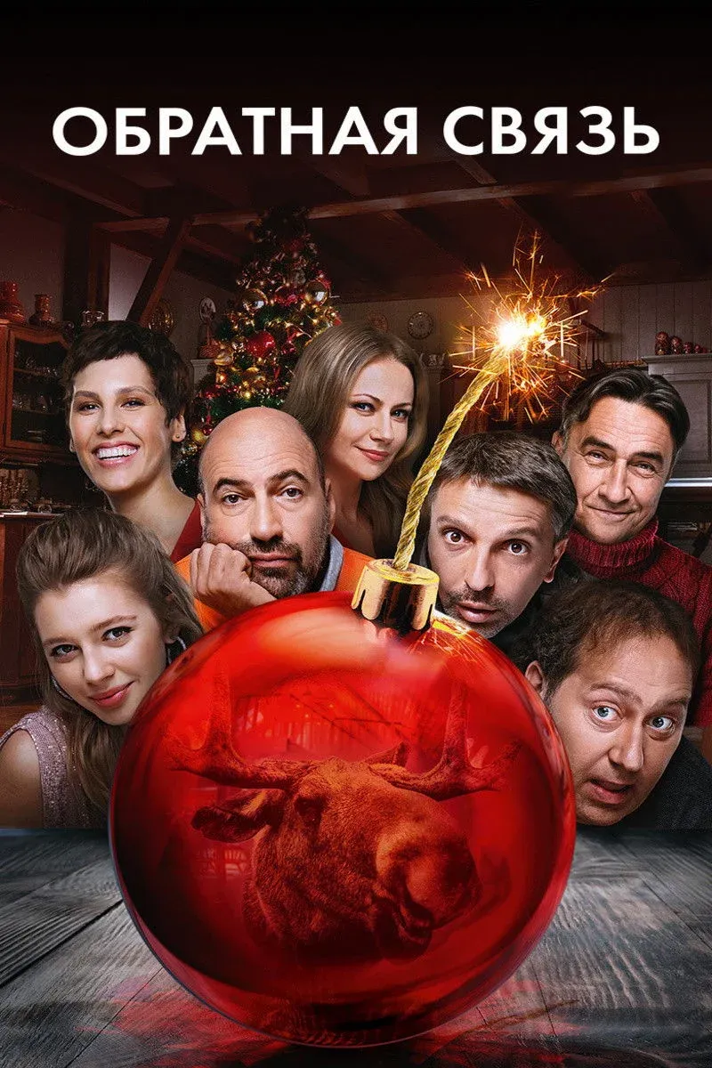 Постер фильма Обратная связь