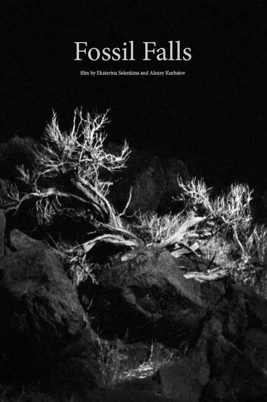 Постер фильма Фоссил Фолс