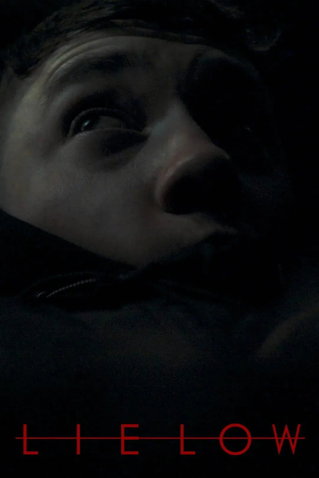 Постер фильма Залечь на дно